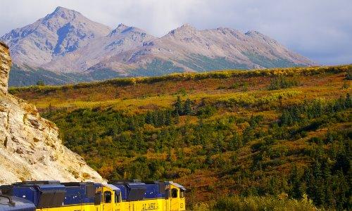 Denali Depot Webcam - Online Web Cameras